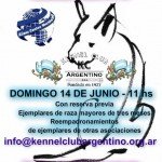 Imagen destacada del artículo «Jornada de Registros - Rosario»